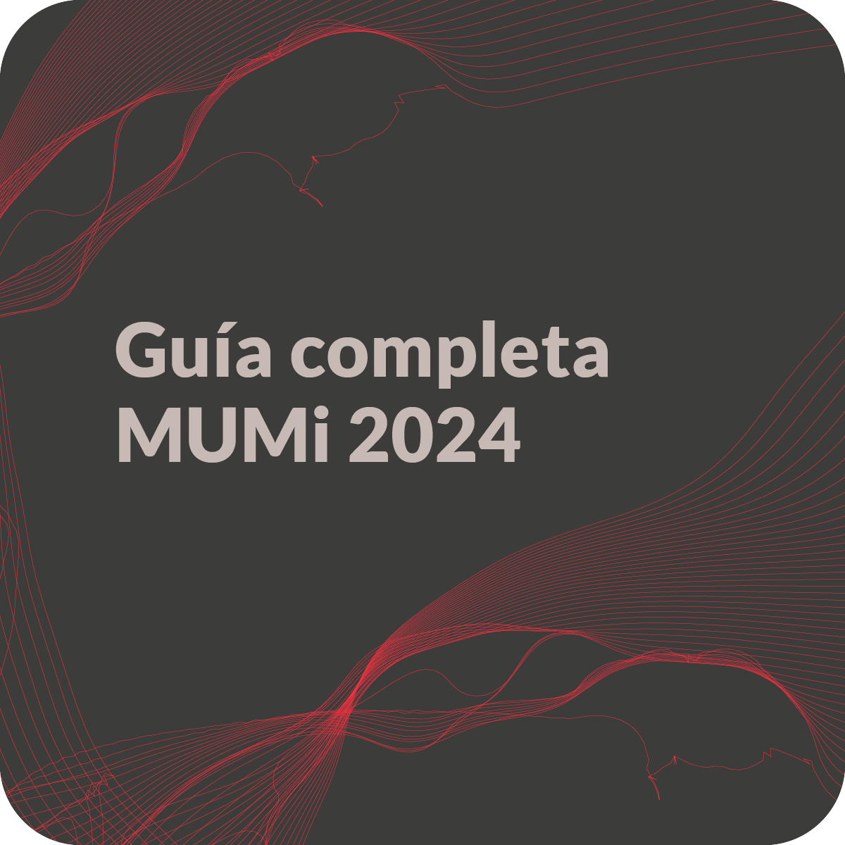 Guía completa MUMI 2024